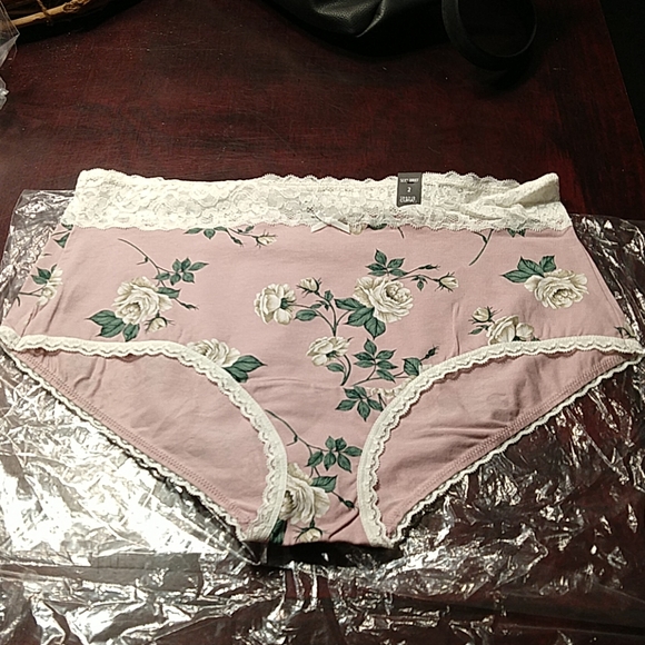 torrid Other - Torrid, size 2 NWT mauve and lace briefs